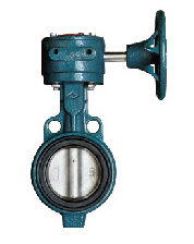 Wholesale Cast Iron Butterfly Valve